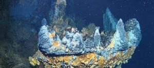 Keajaiban Deep-Sea Vents (Ekuador)
