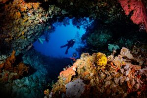 Keajaiban Bawah Laut Morotai