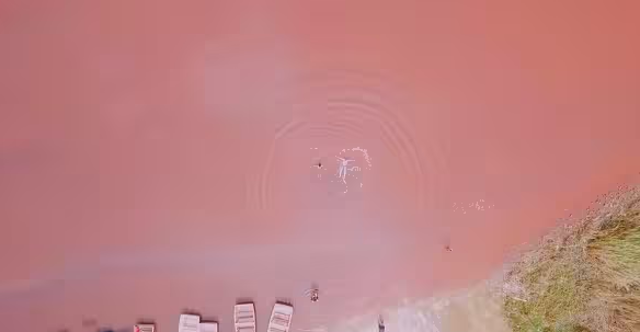 Keajiaban Danau Slurp! Ada Danau Milkshake Stroberi di Senegal