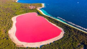 Danau Hillier: Keajaiban Pink di Australia