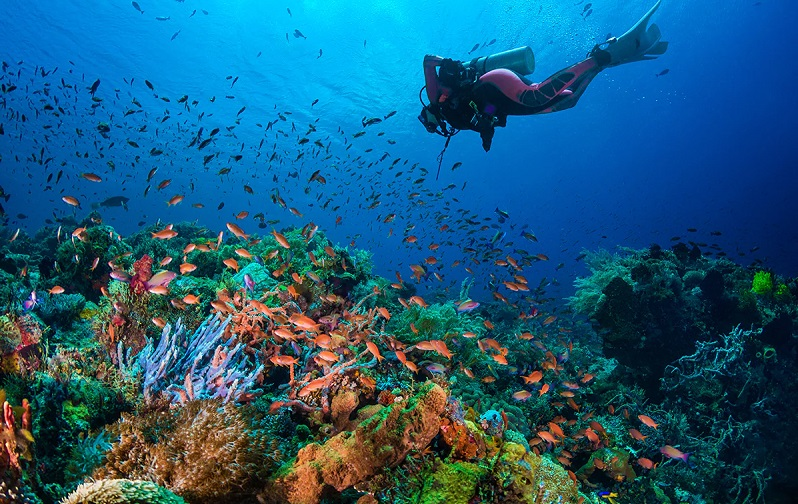 Keajaiban Pulau Alor: Menemukan Keindahan Alam yang Tersembunyi di Indonesia Timur