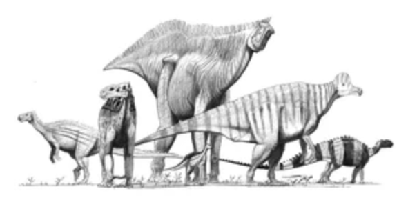 Keajaiban Fosil Ornithopod Terbaru Mengungkap Spesies Dinosaurus Baru di Tanah Texas