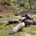 Misteri Batu Hidup yang “Melahirkan” Batu-batu Baru di Romania